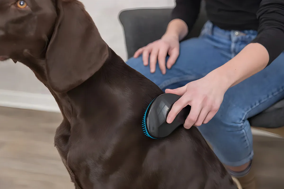 Cepillo Suave 19cm Trixie Gatos Y Perros - Petit Pet Shop Color Turquesa - Image 7