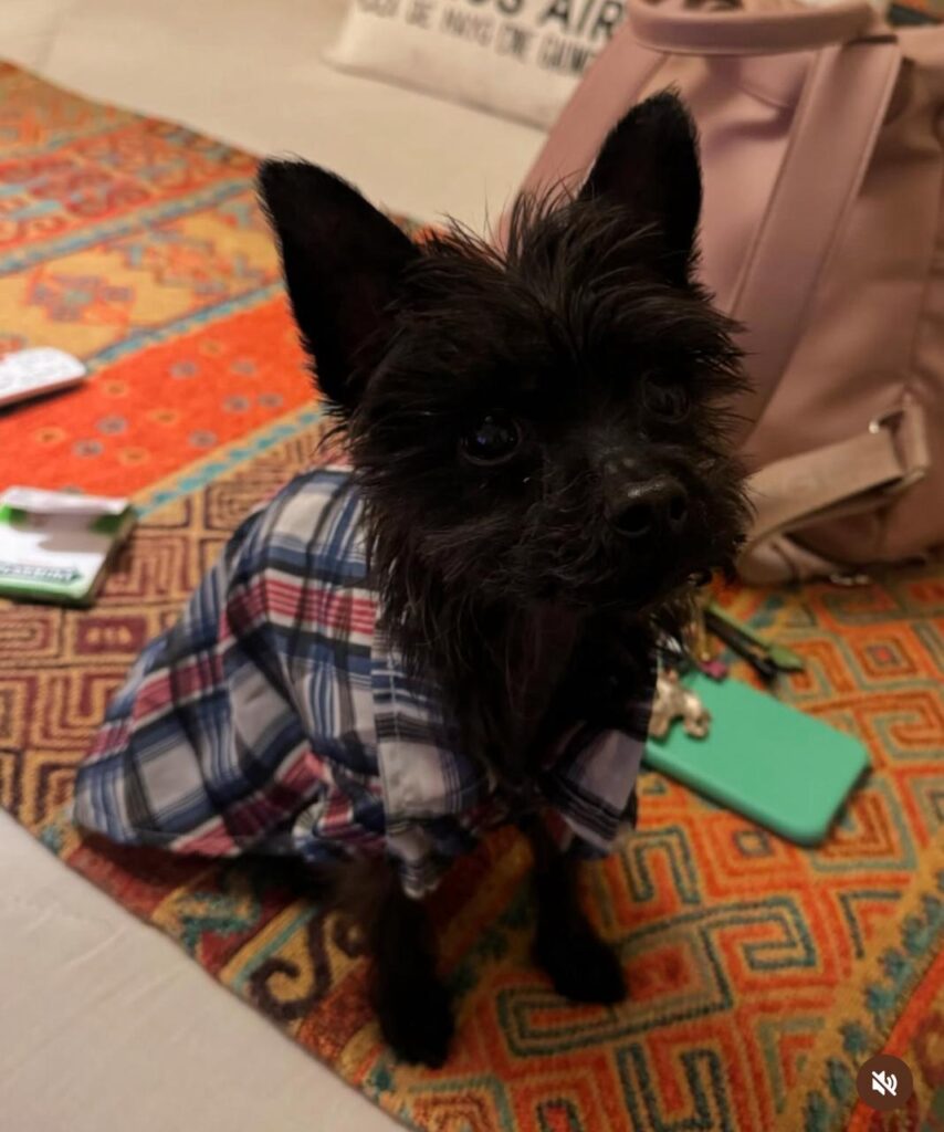 WhatsApp Image 2025-05-20 at 8.53.13 PM (1)