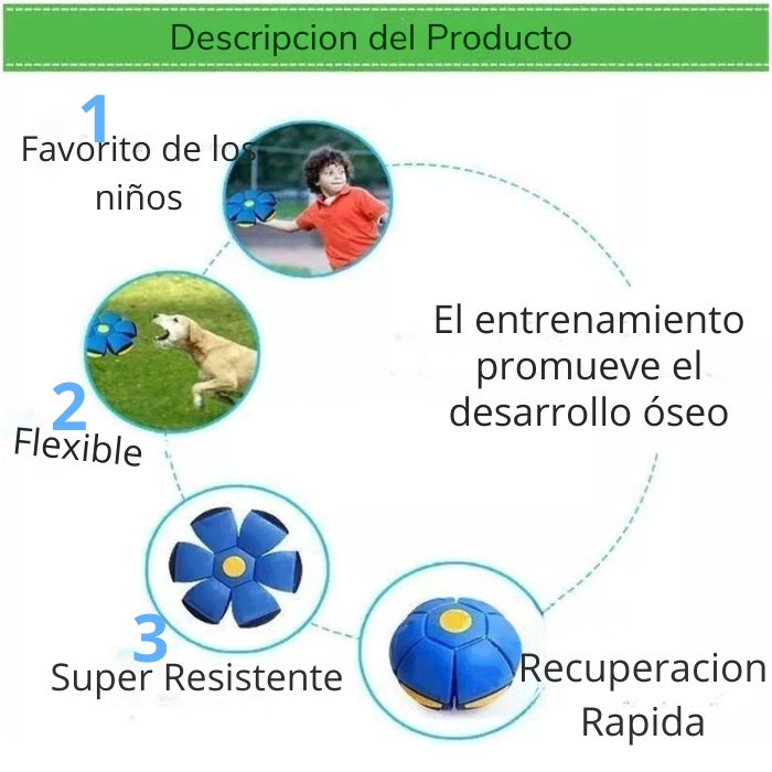 JUGUETES PLEGABLES PARA PERROS, BOLA DE PLATILLO VOLADOR PARA PERROS/NIÑOS, JUGUETE VIRAL - Image 4